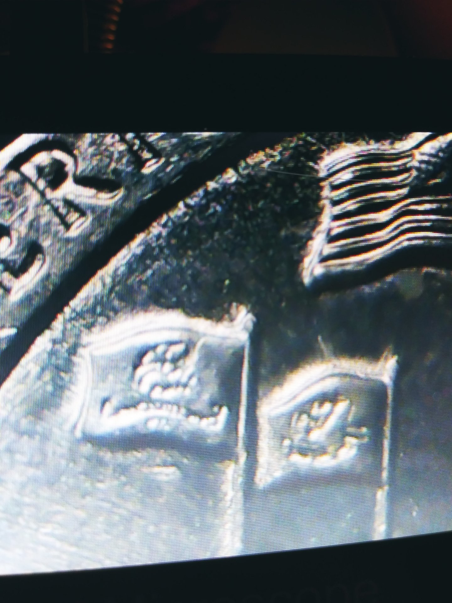 20200227_210152.jpg