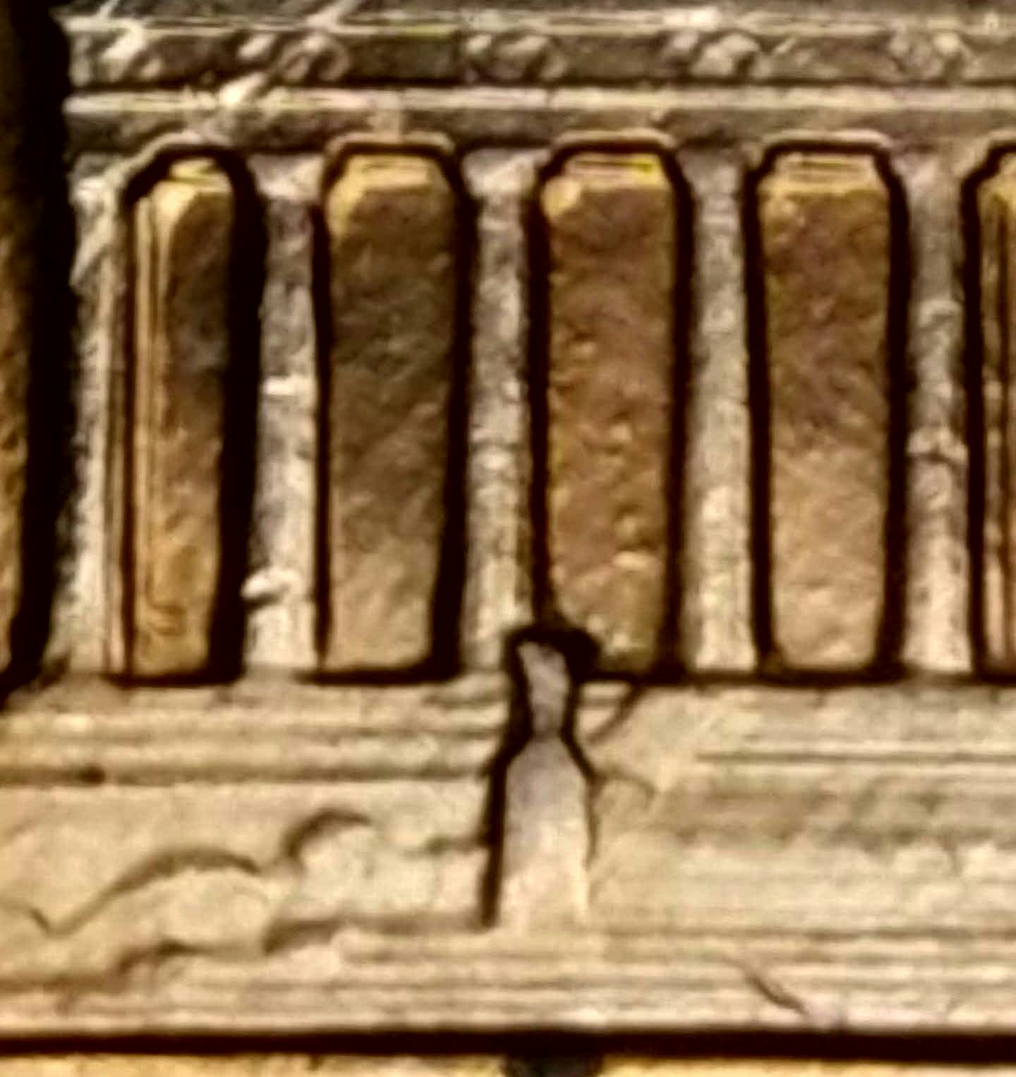 20200304_203142.jpg
