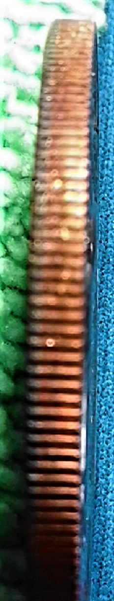 20200329_133345.jpg