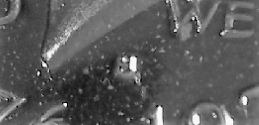 20200402_145606.jpg