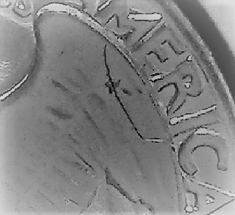 20200404_115154.jpg