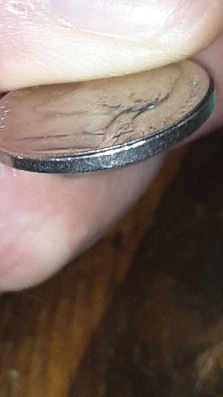 20200404_182153.jpg