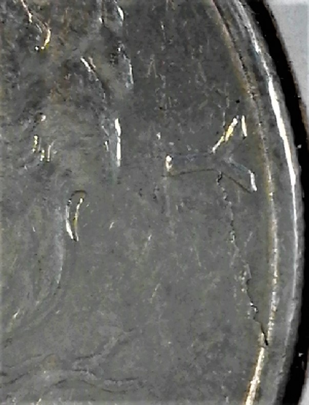 20200404_210221.jpg