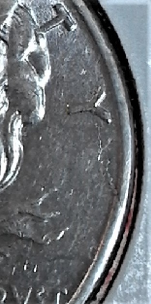 20200415_170113b.jpg