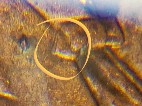 20200420_135328.jpg