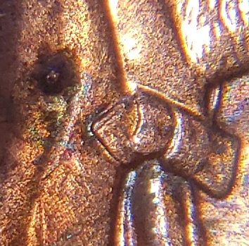 20200420_151050.jpg