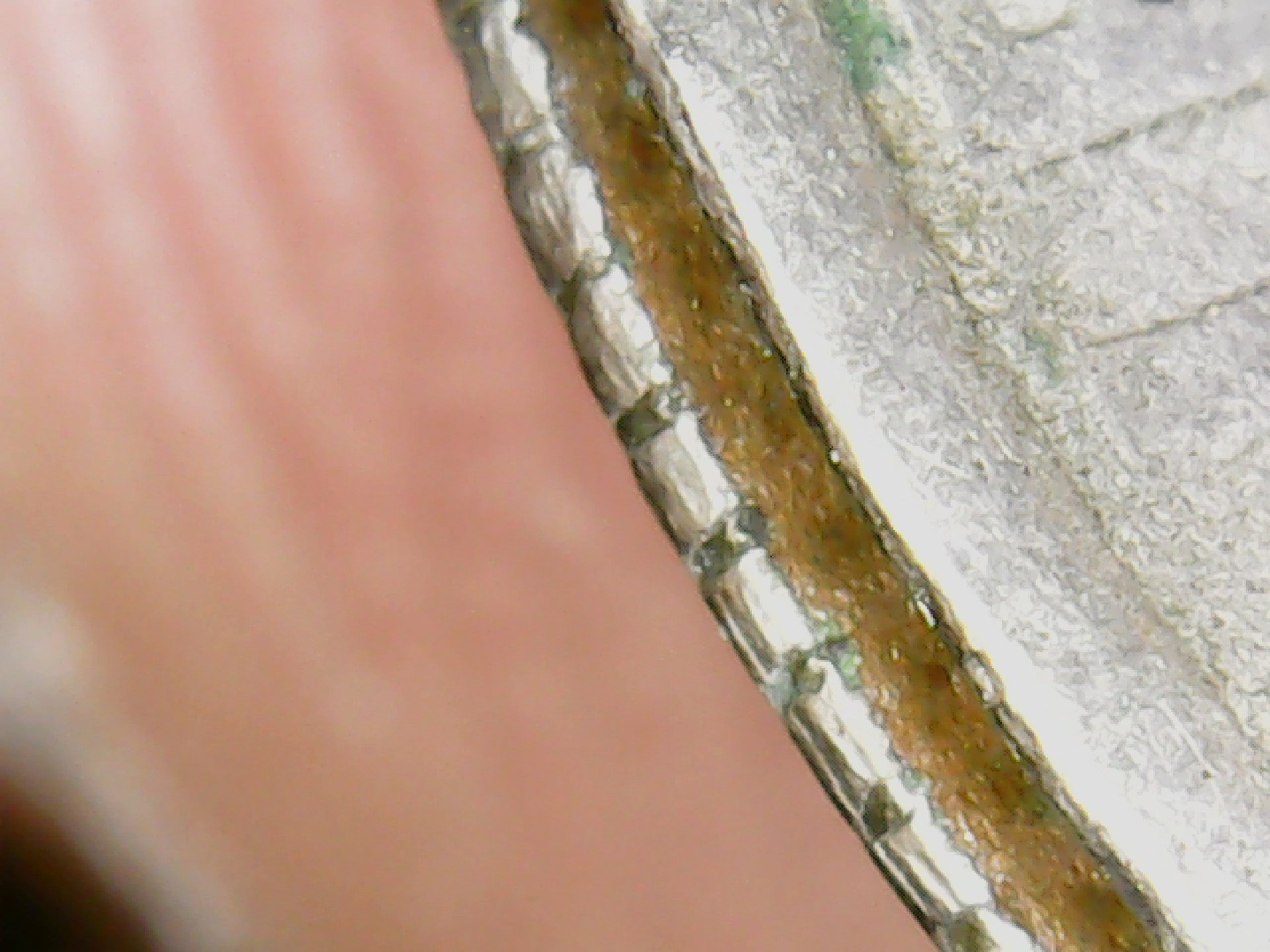 20200501_211435.jpg