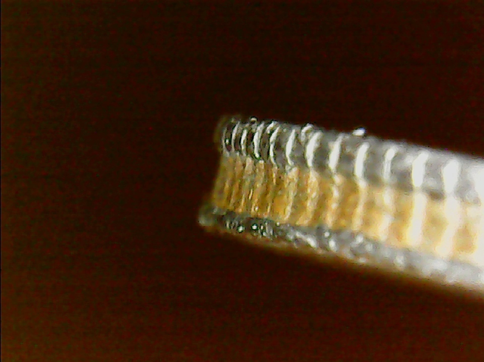 20200501_211655.jpg