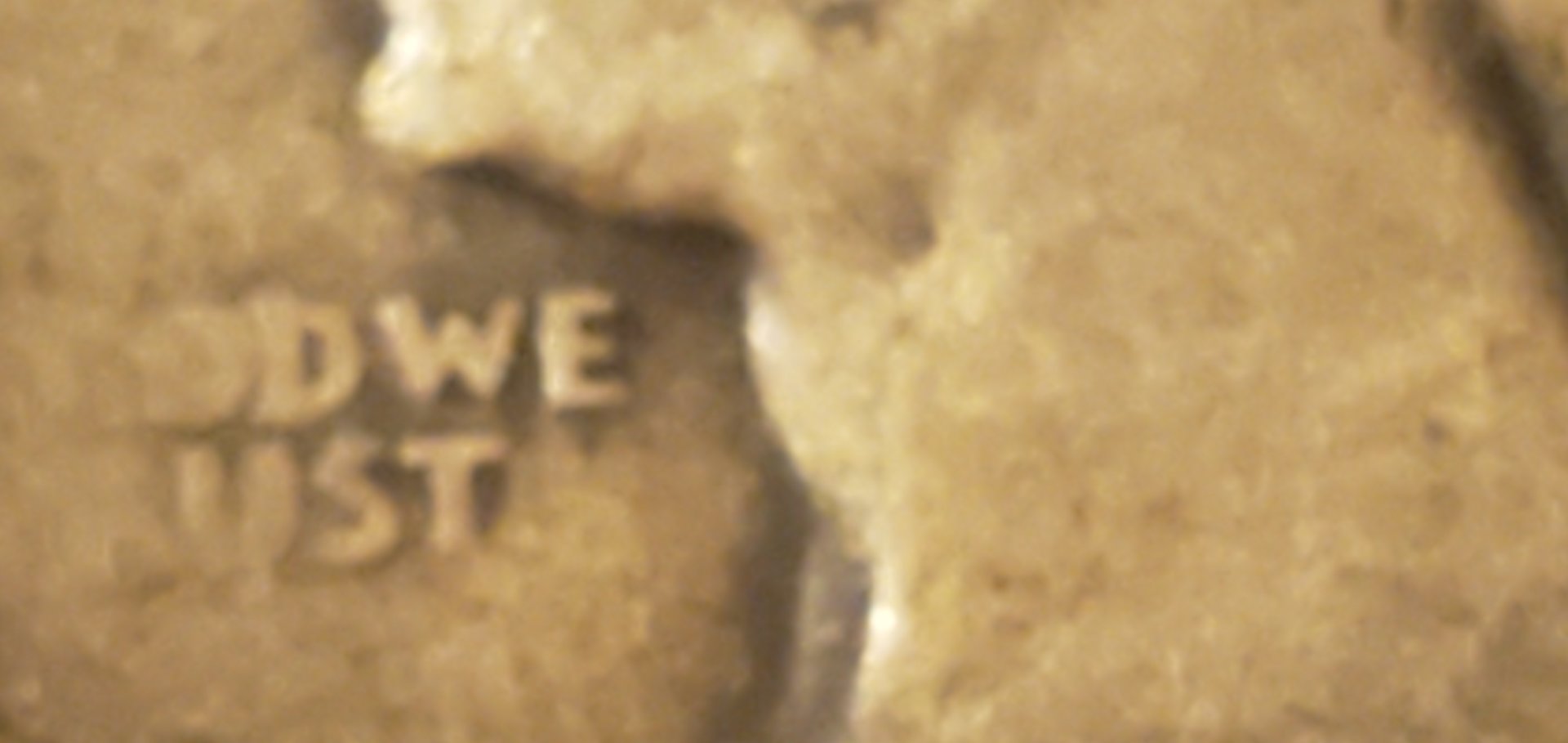 20200509_225133.jpg