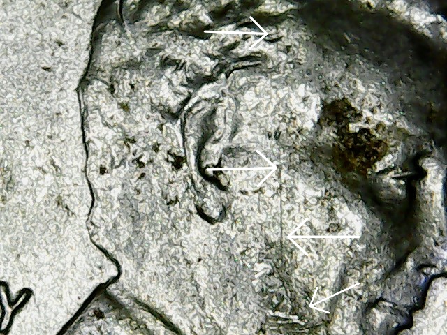 20200518_122012.jpg
