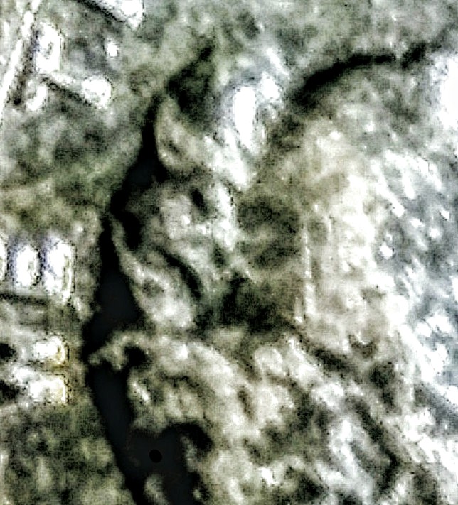 20200529_205410~10.jpg
