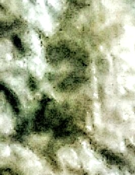 20200529_205410~11.jpg