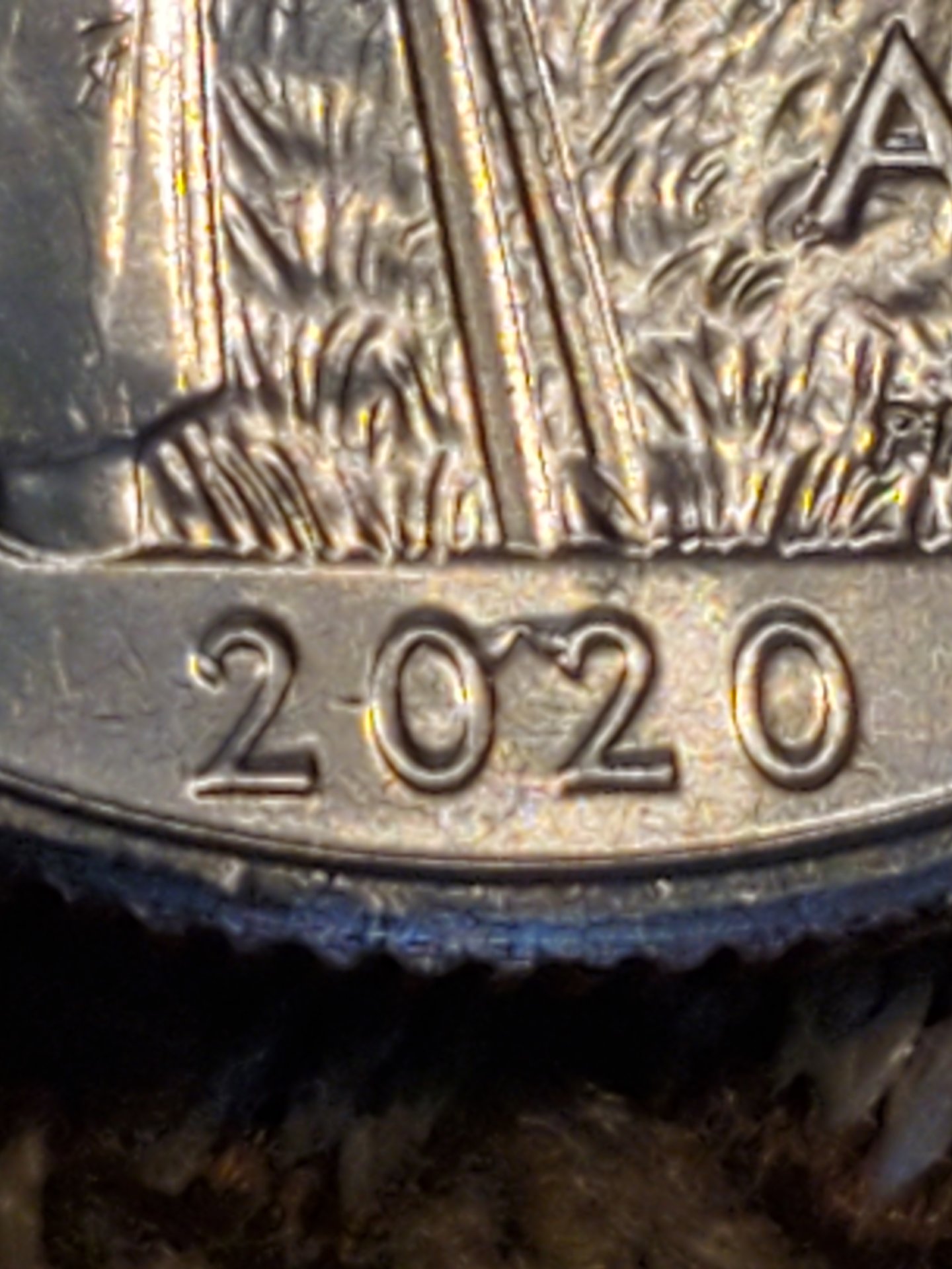 20200530_082923.jpg