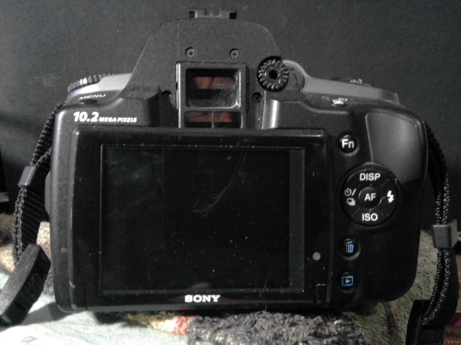20200531_012423 (2).jpg