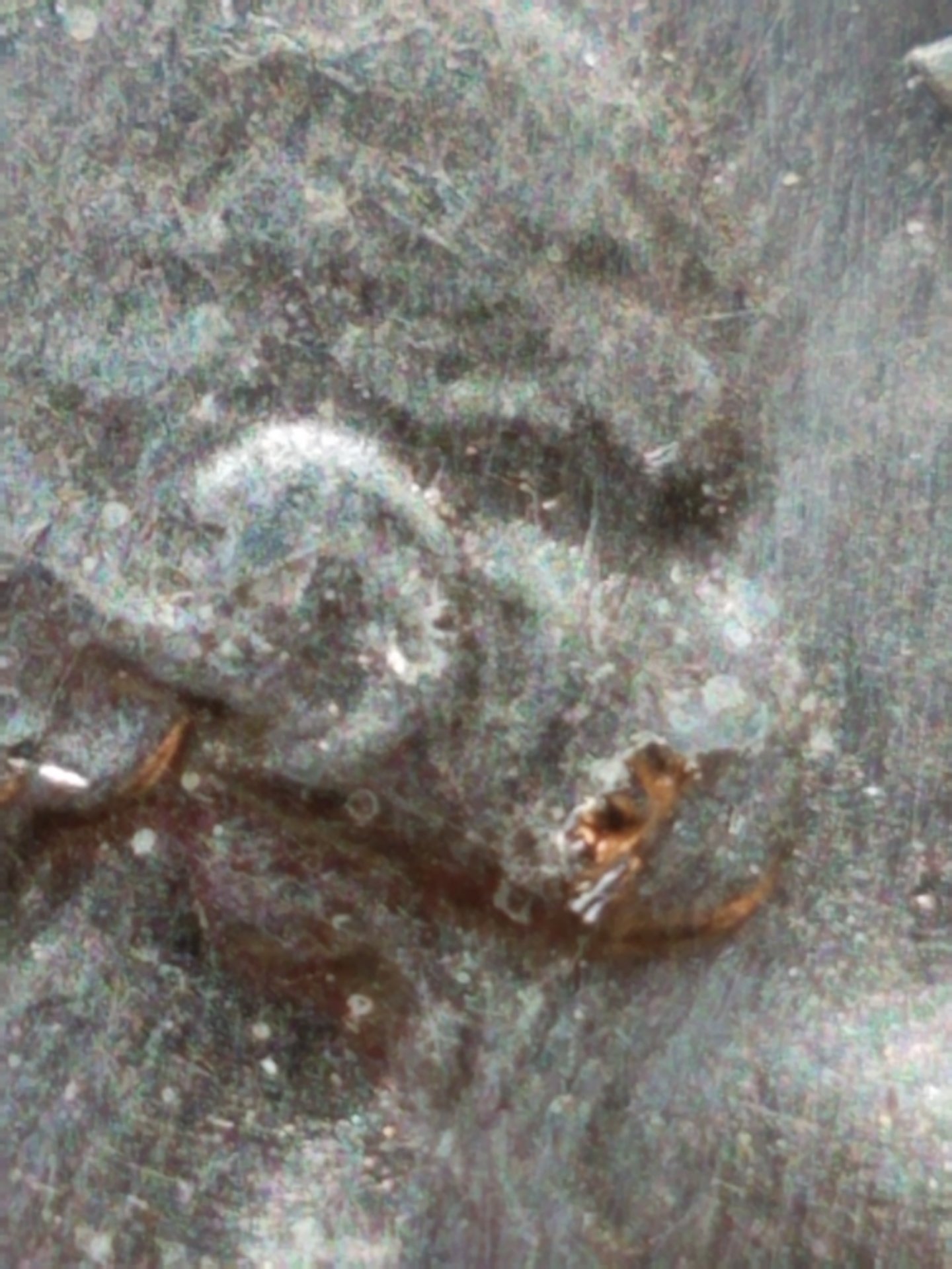 20200620_173342.jpg