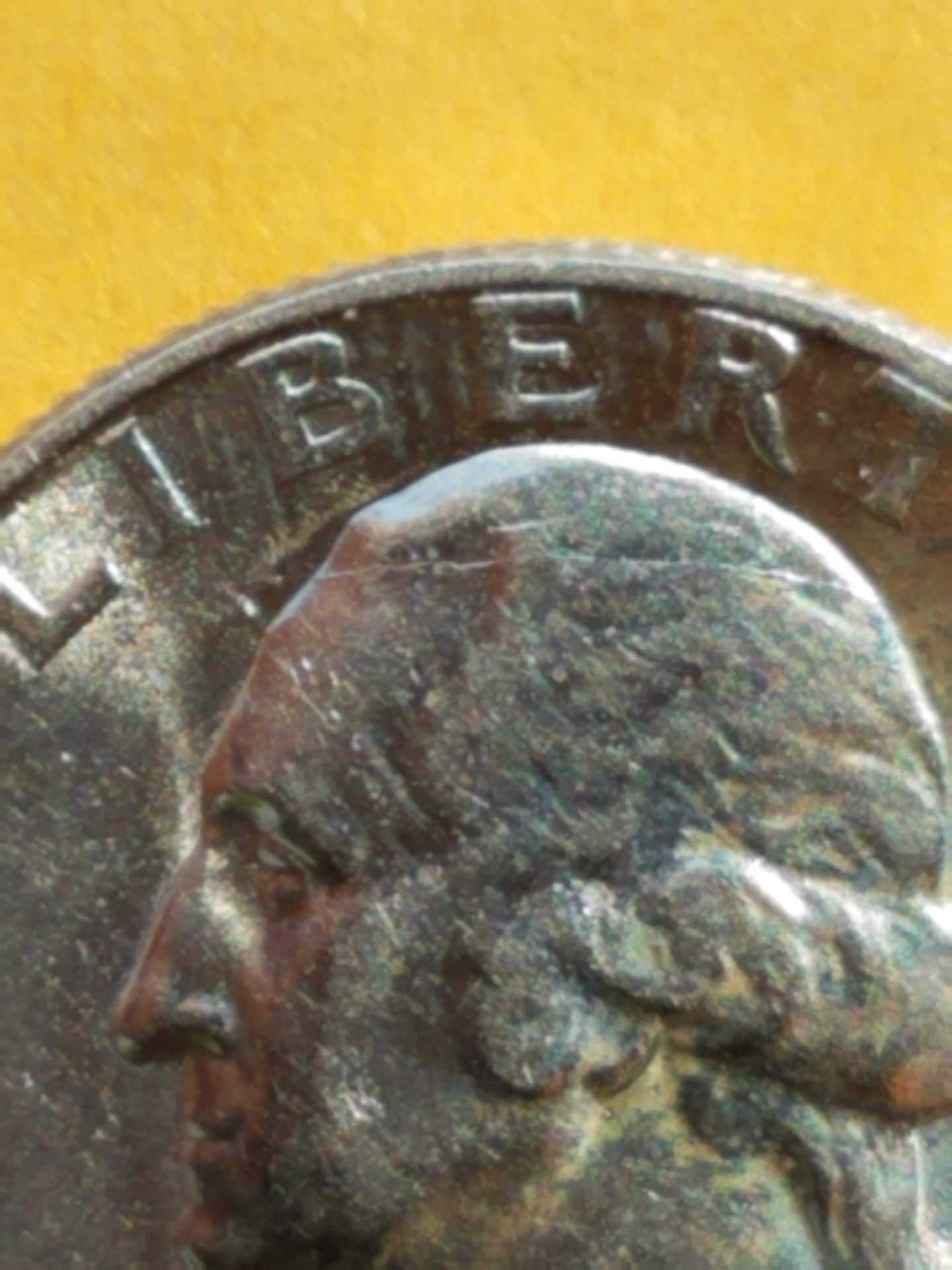 20200620_173929.jpg