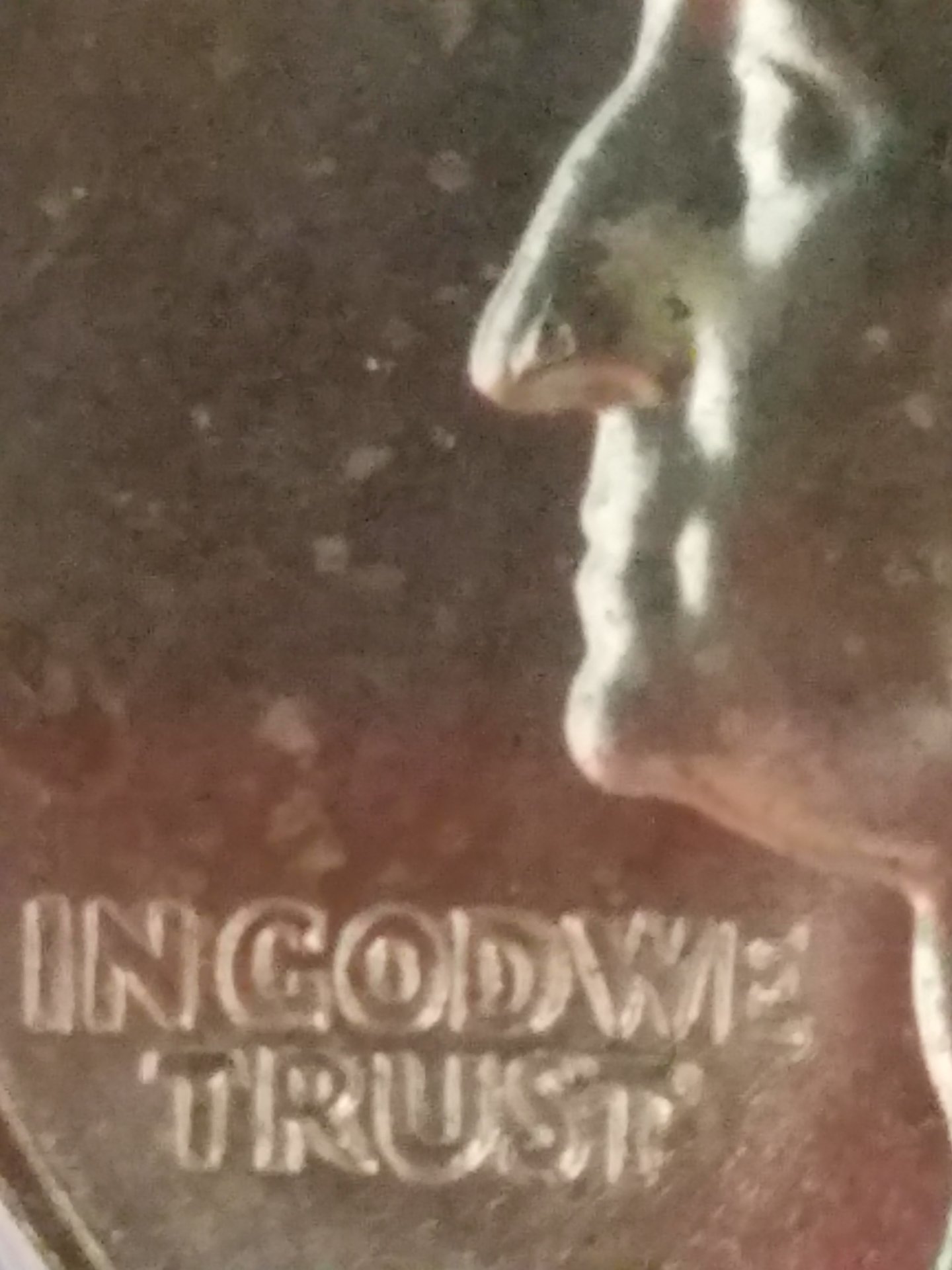 20200630_122736.jpg