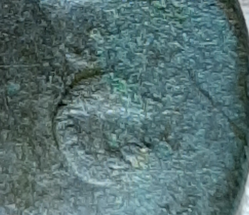 20200704_160443.jpg