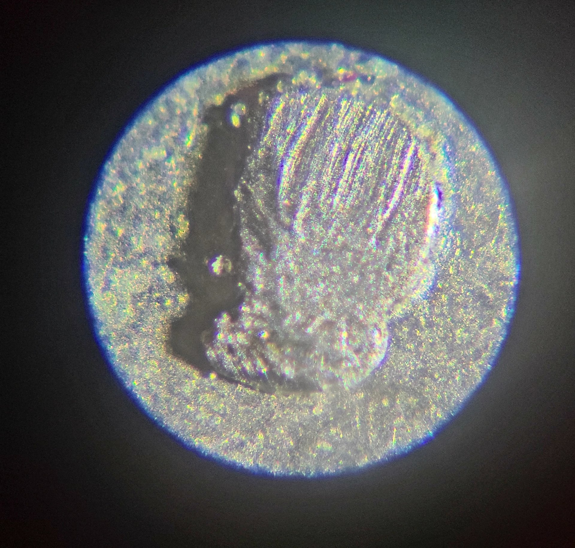 20200706_190057.jpg