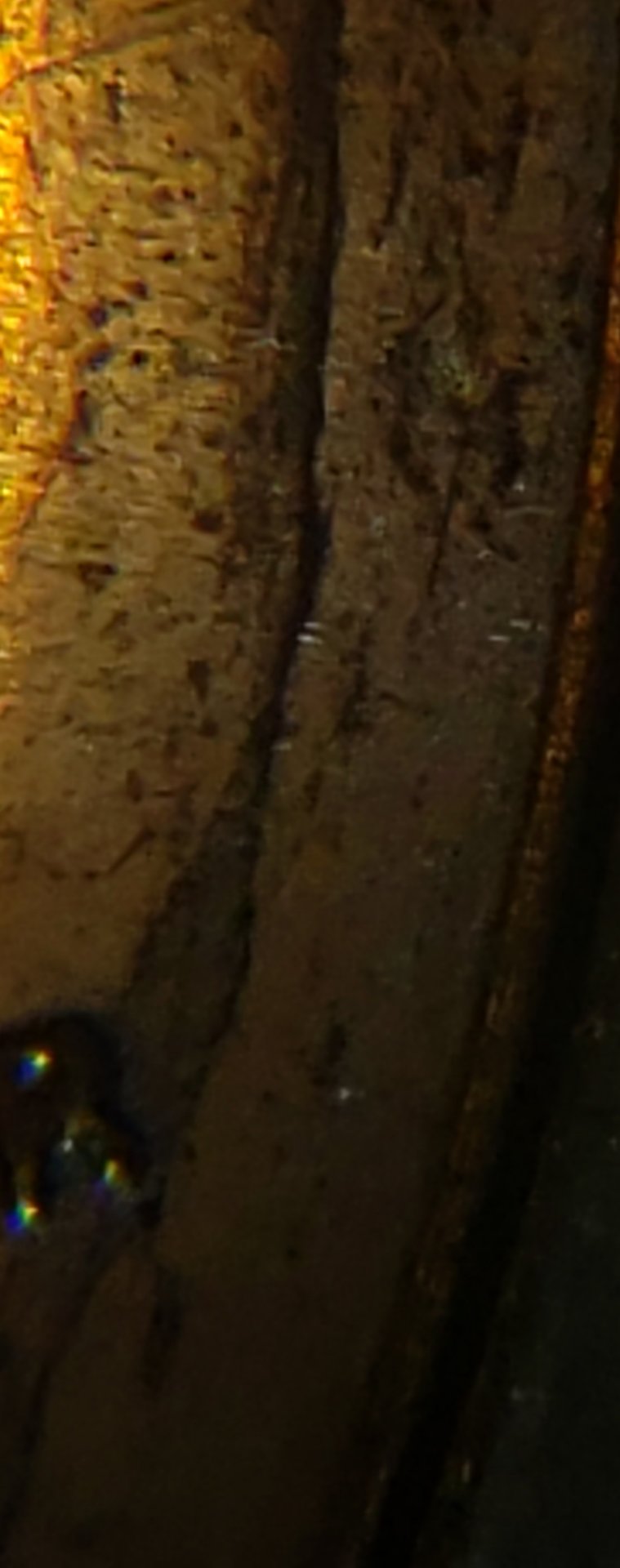 20200719_133052.jpg