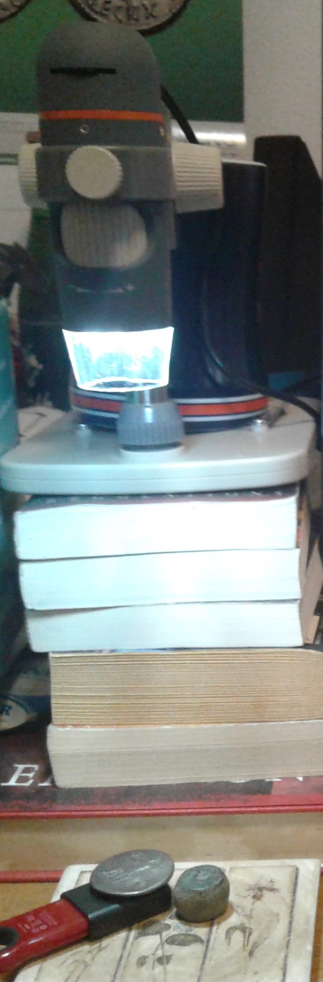 20200723_180909.jpg