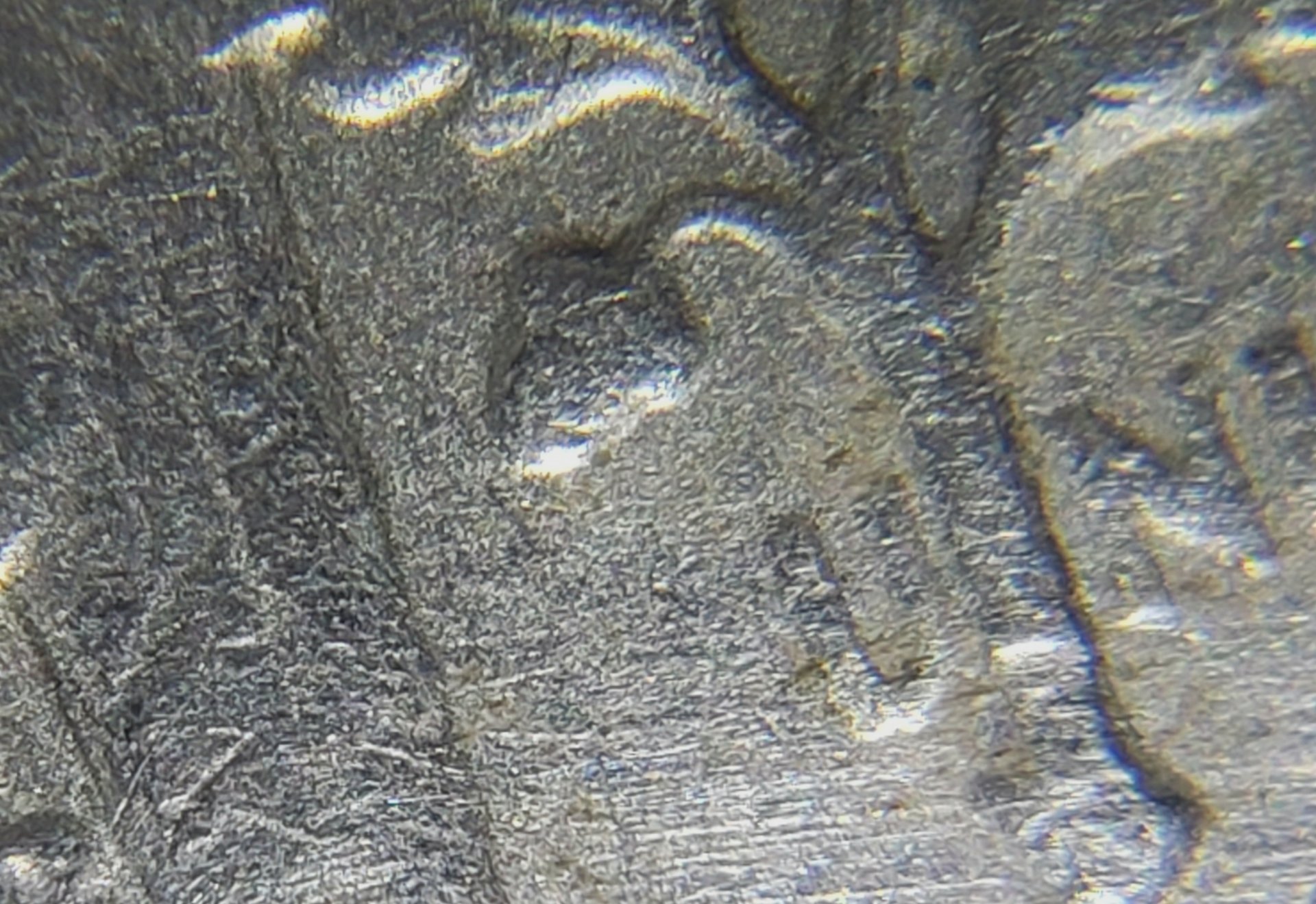 20200727_183024.jpg