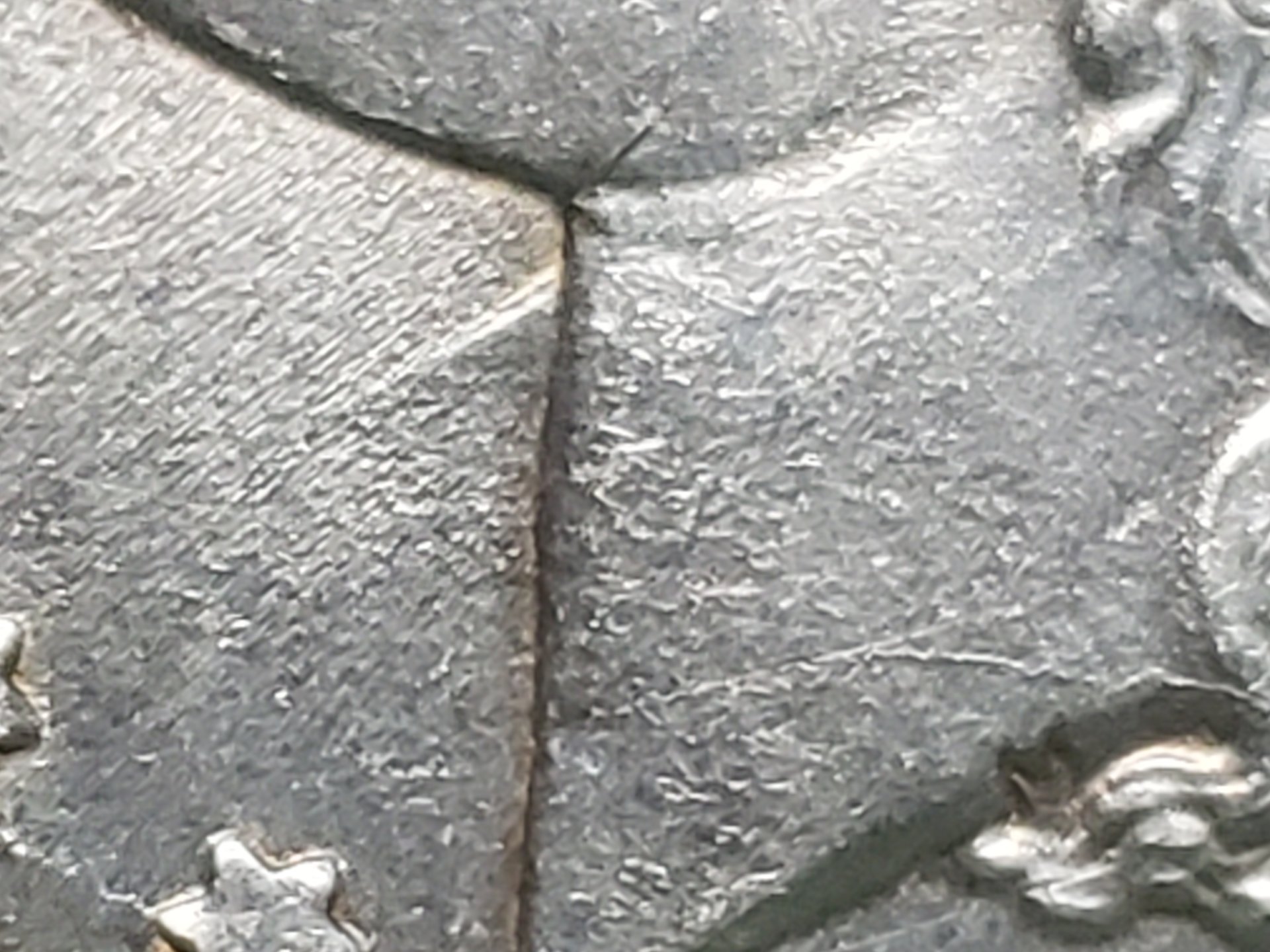 20200727_183701.jpg