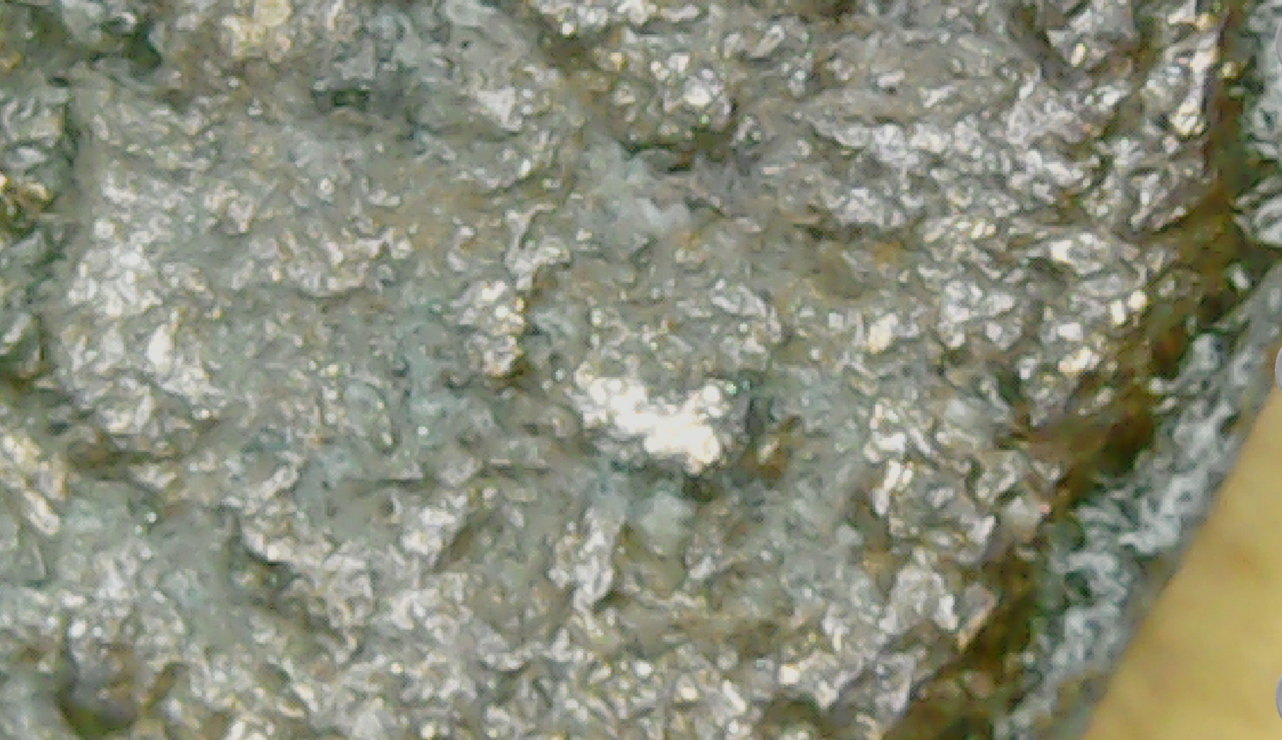 20200729_142232.jpg