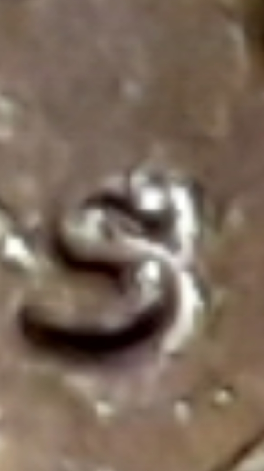 20200801_195207.jpg