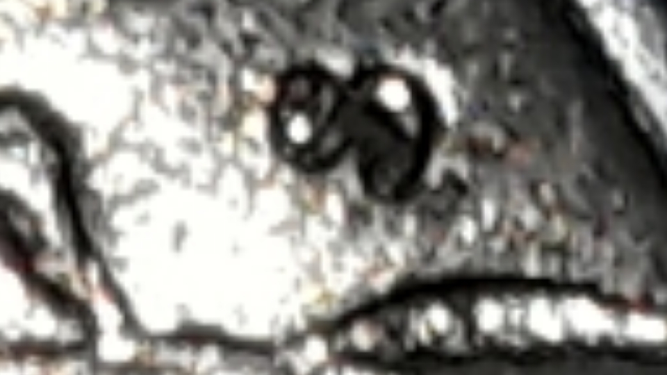 20200803_150414.jpg