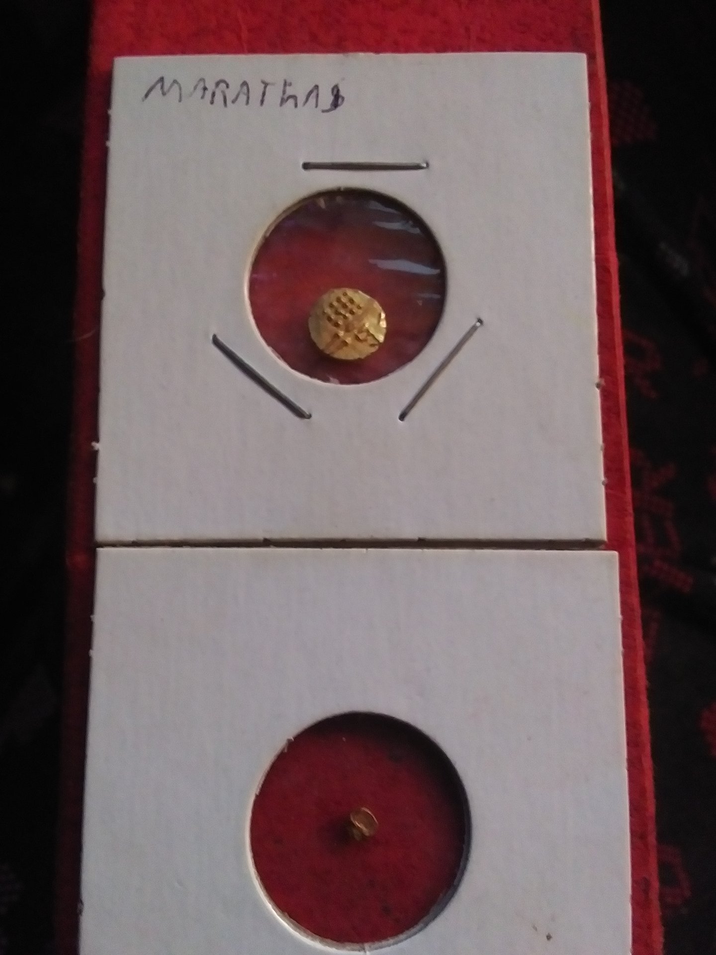 20200808_175231.jpg