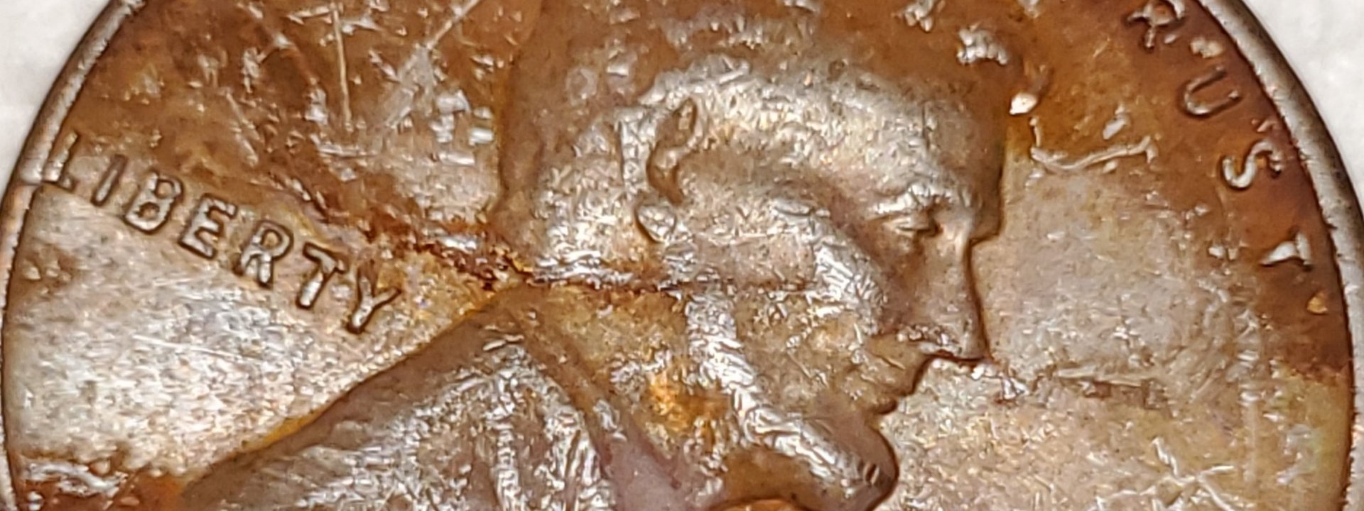 20200809_151303.jpg