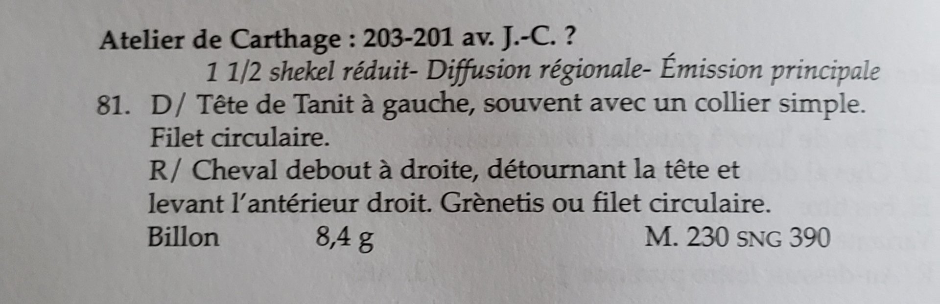 20200812_114118.jpg