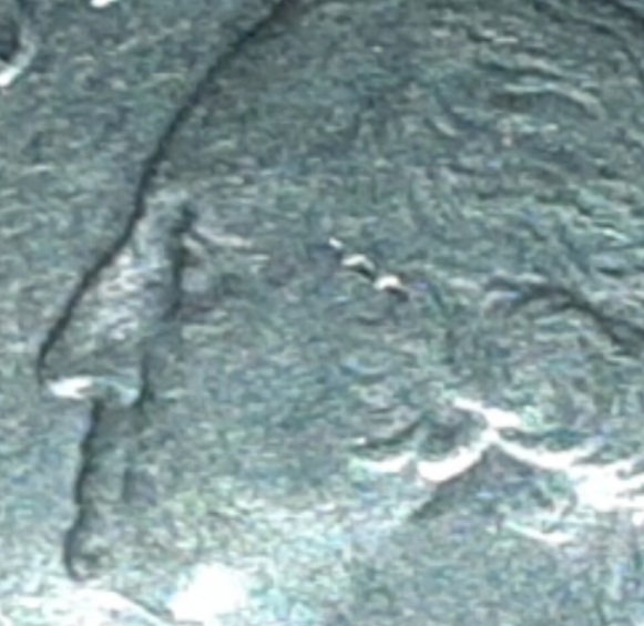 20200815_235513.jpg