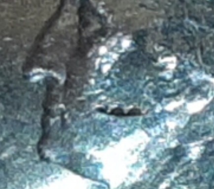 20200815_235538.jpg