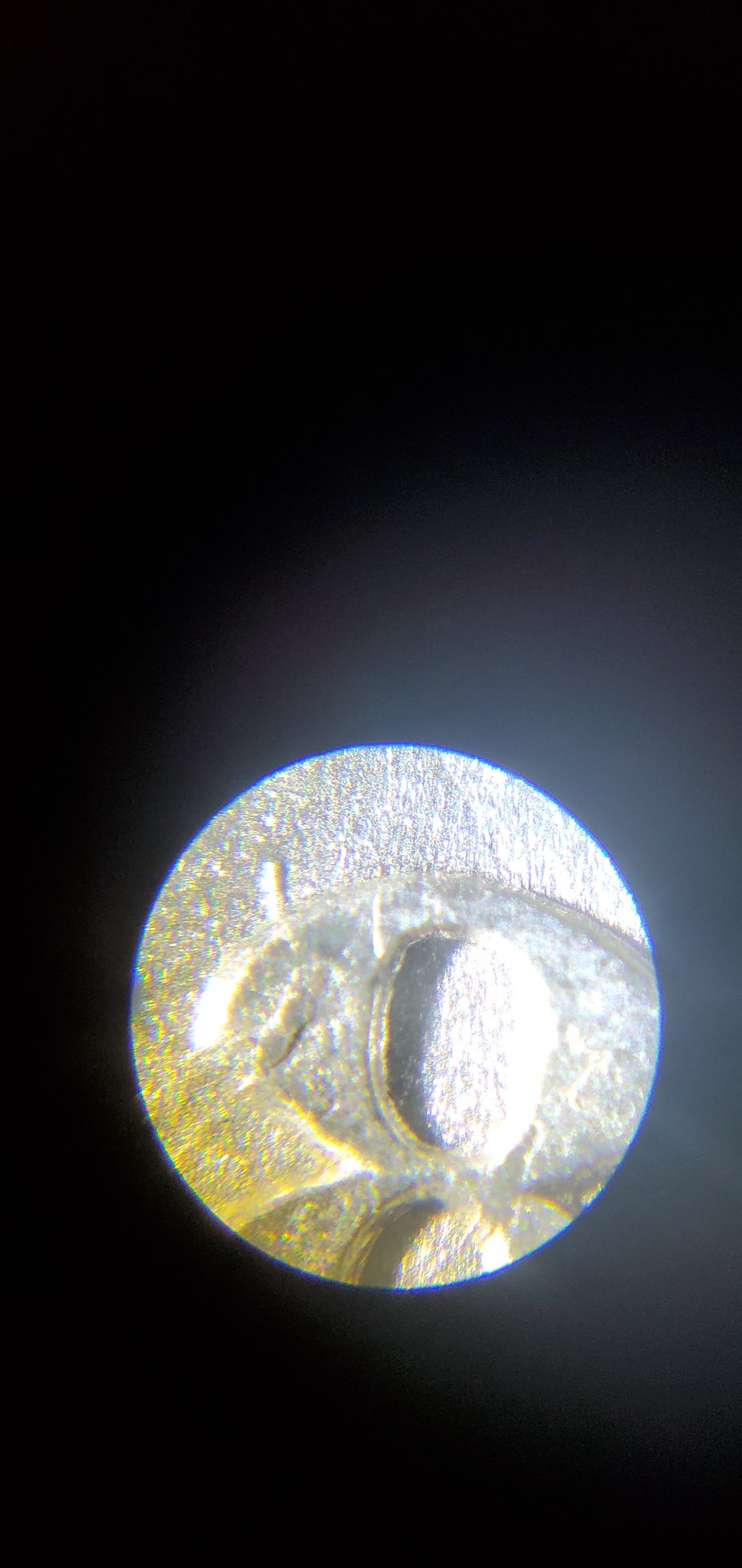 20200827_115732.jpg
