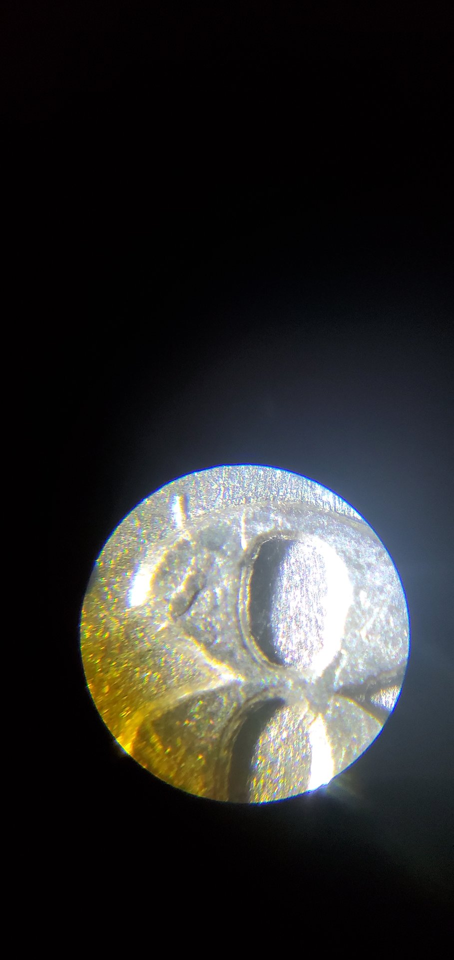 20200827_115736.jpg