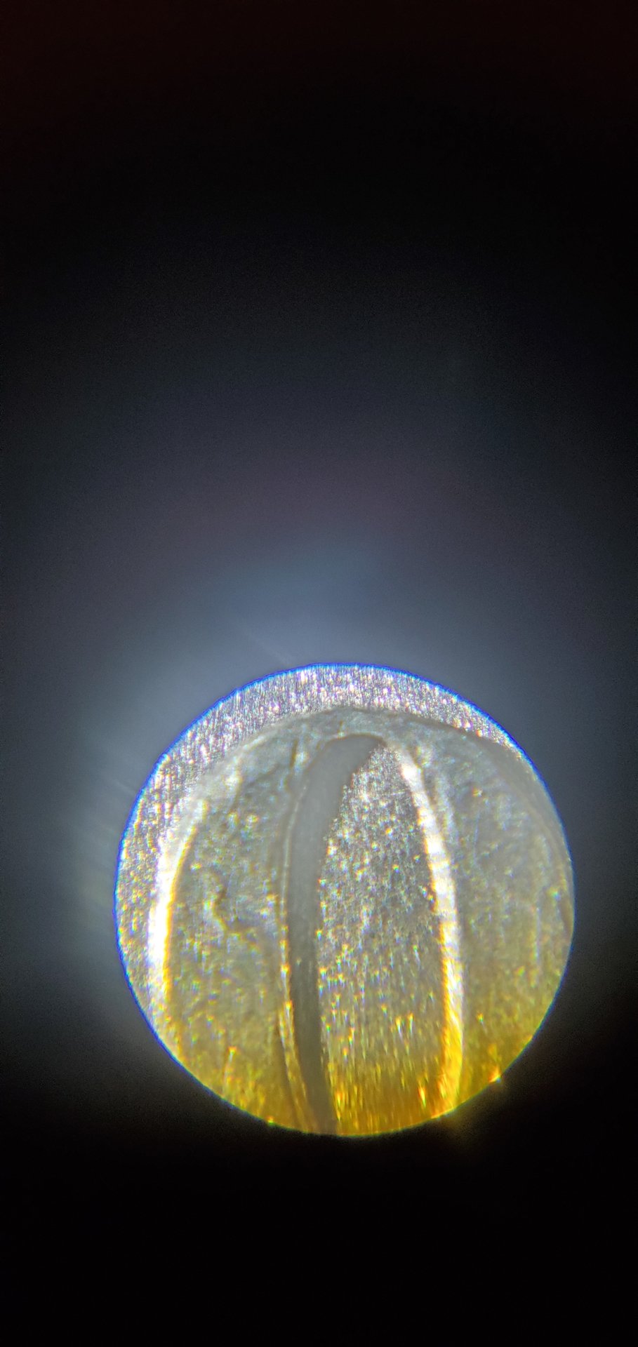 20200827_115745.jpg