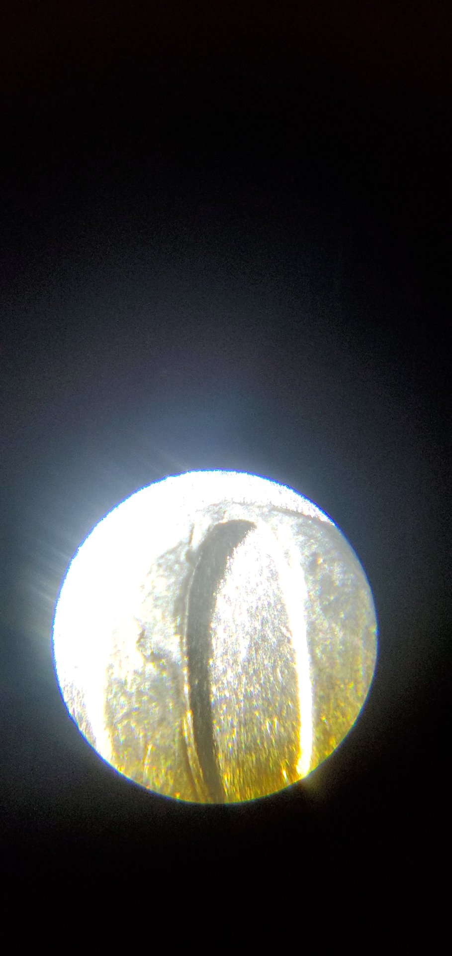 20200827_115758.jpg