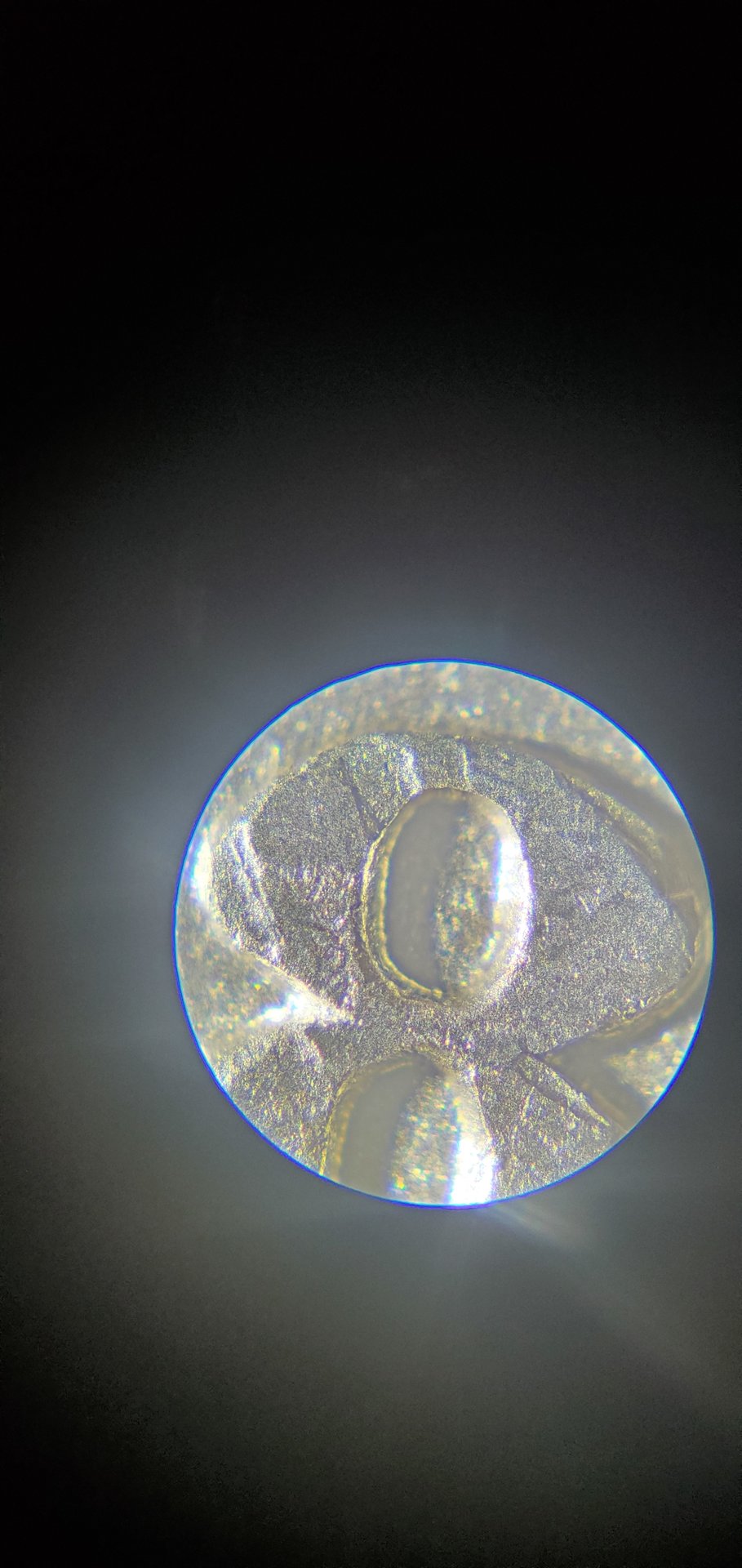 20200827_115857.jpg