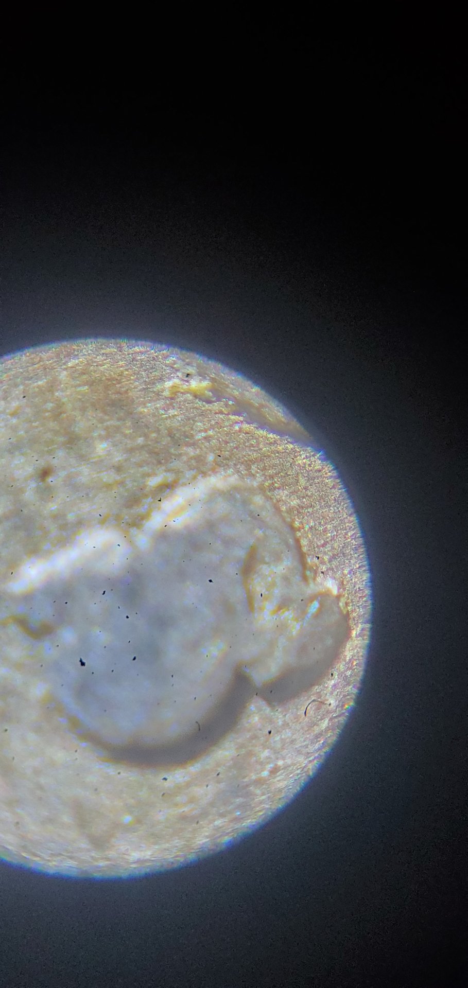 20200827_123740.jpg