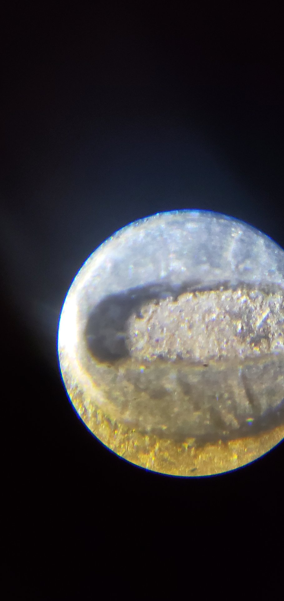 20200827_221801.jpg