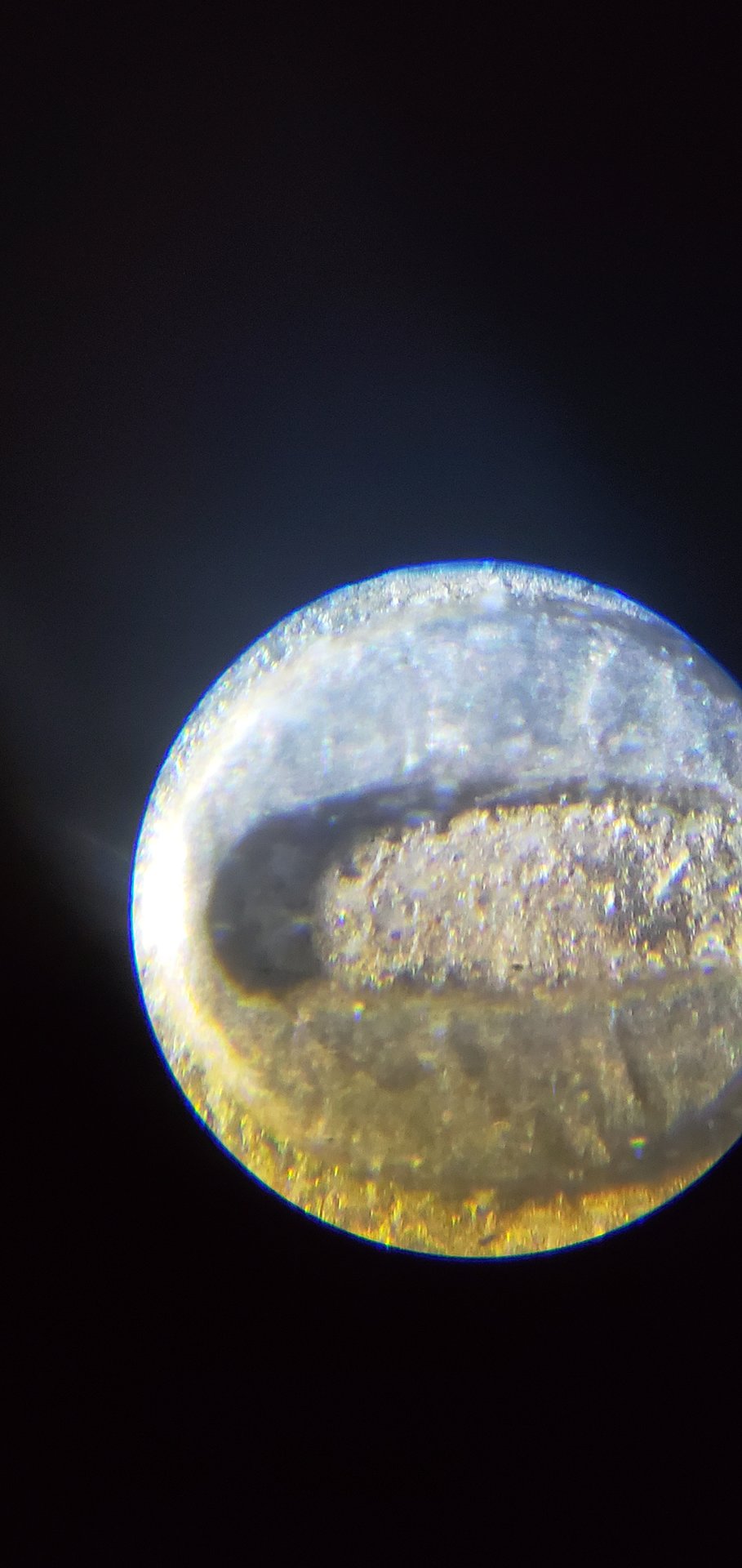 20200827_221804.jpg