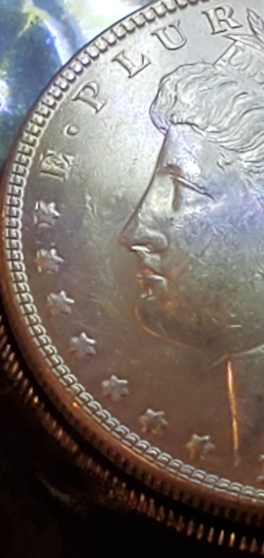 20200914_174124.jpg