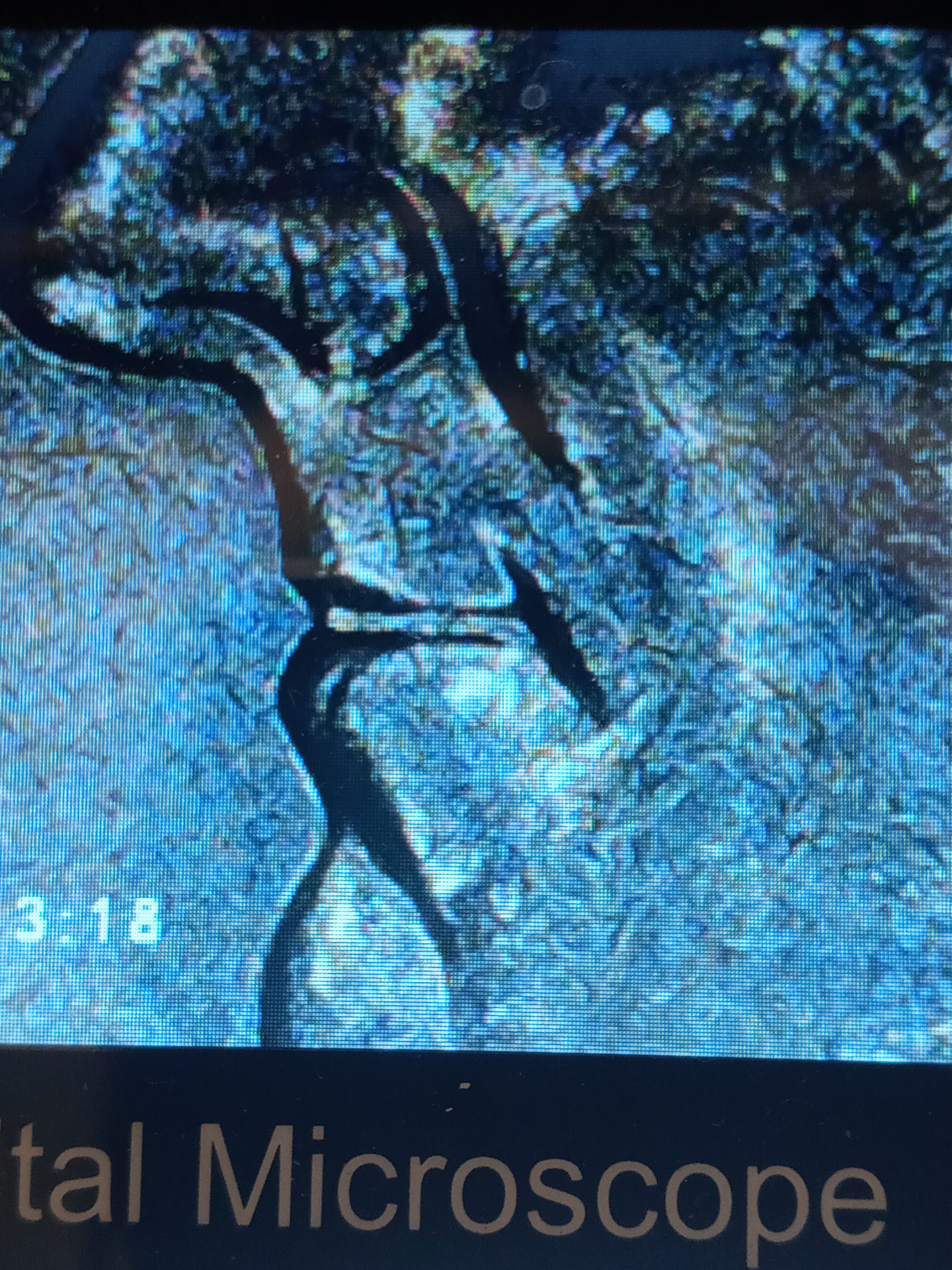 20200917_195655.jpg