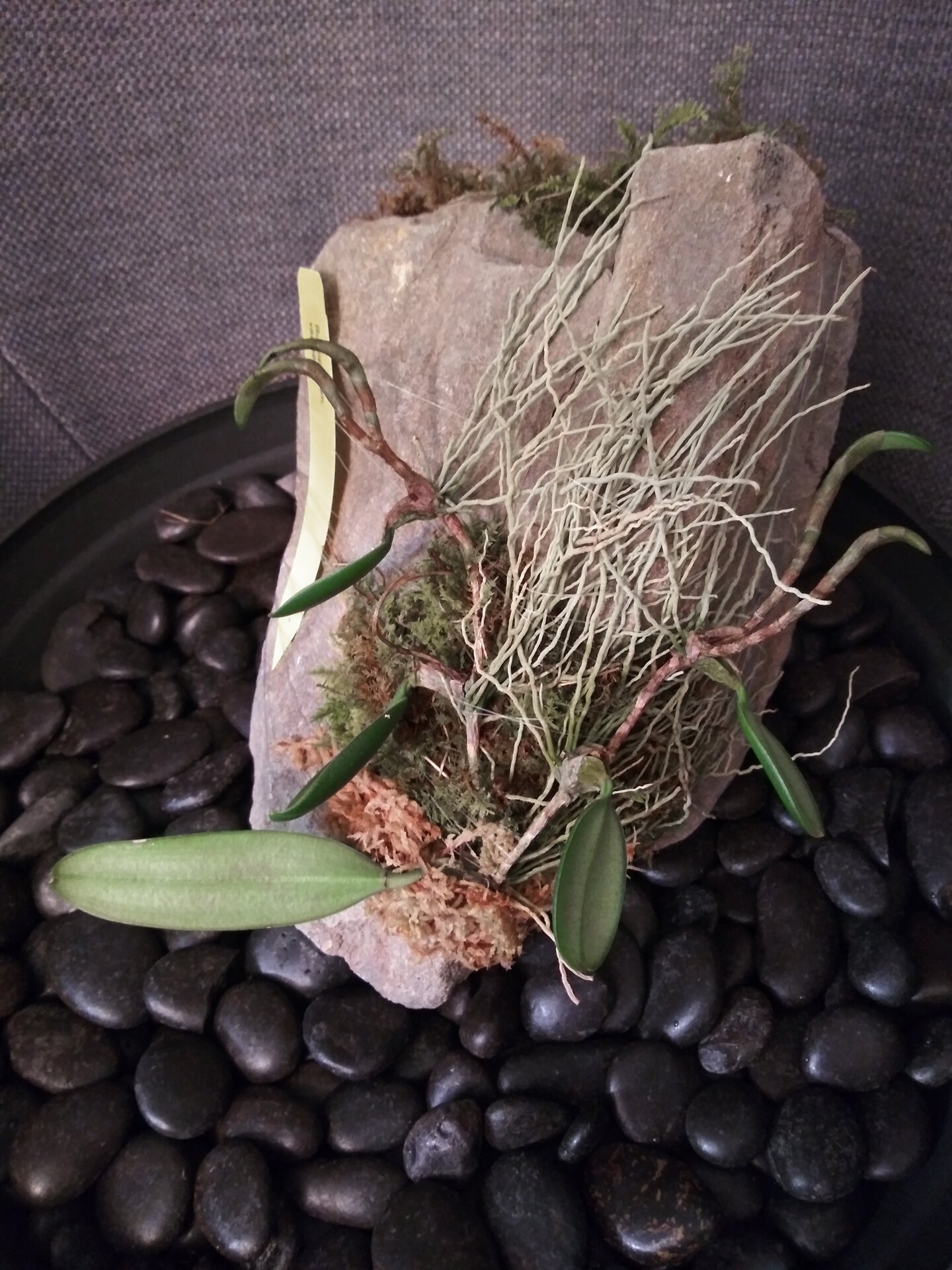 20200920_175521.jpg