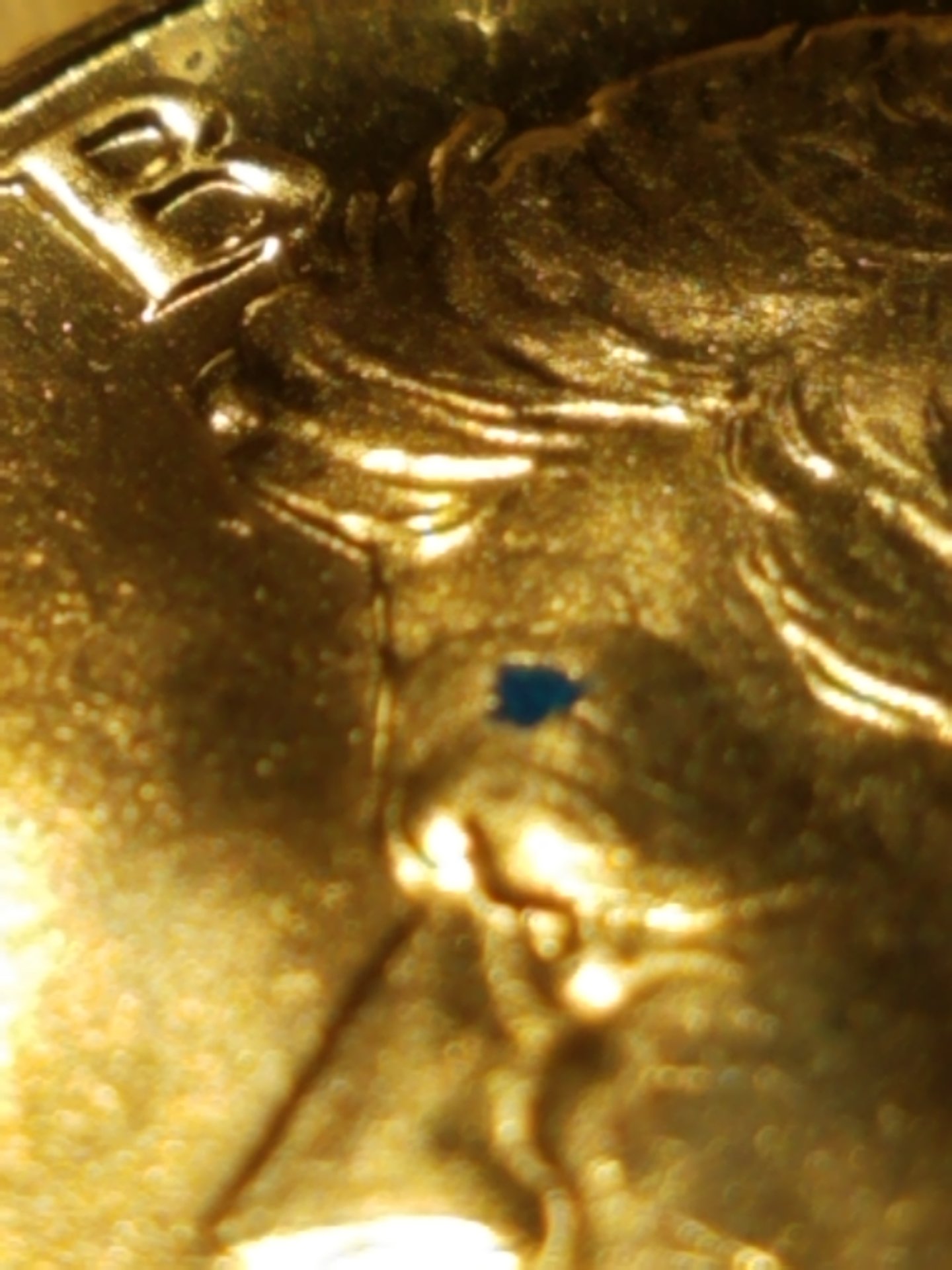 20200926_172427.jpg