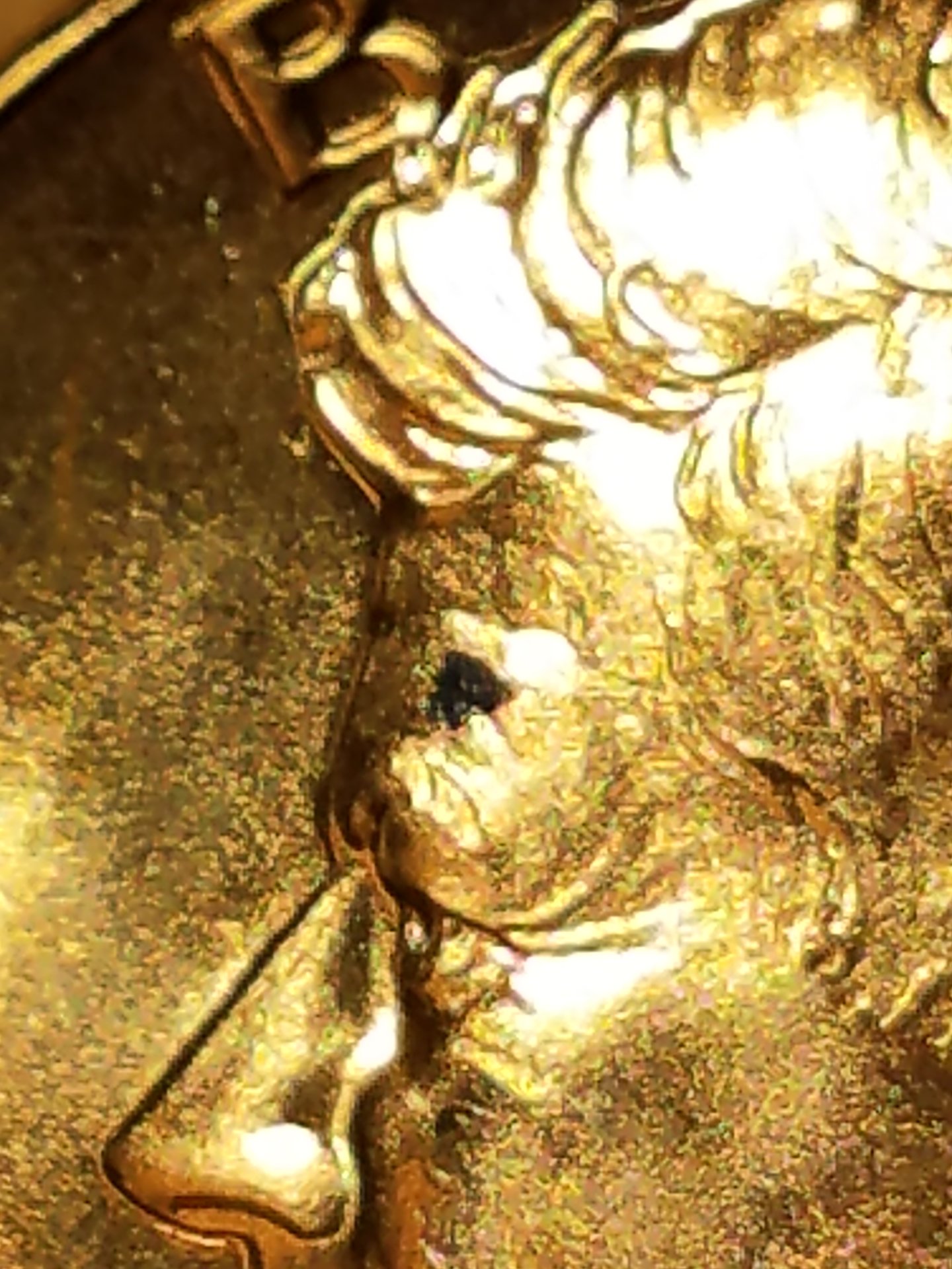 20200926_173230.jpg