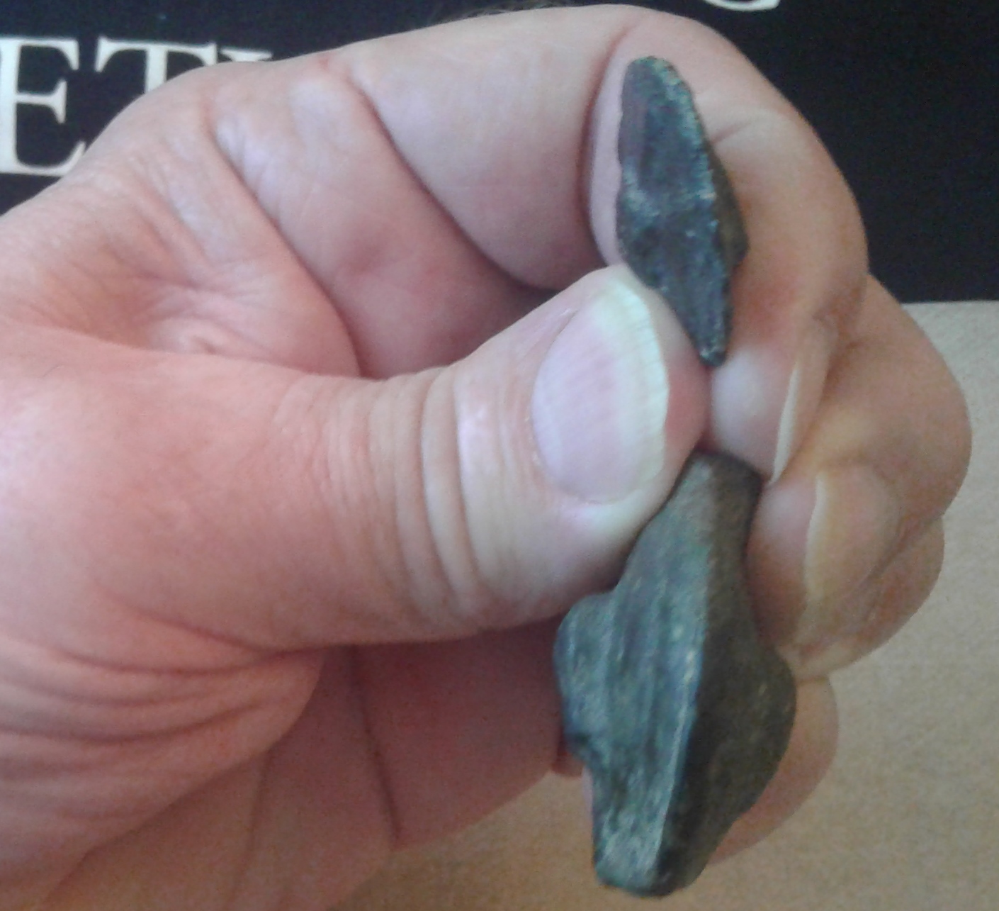 20201002_130401 size diff 2.jpg