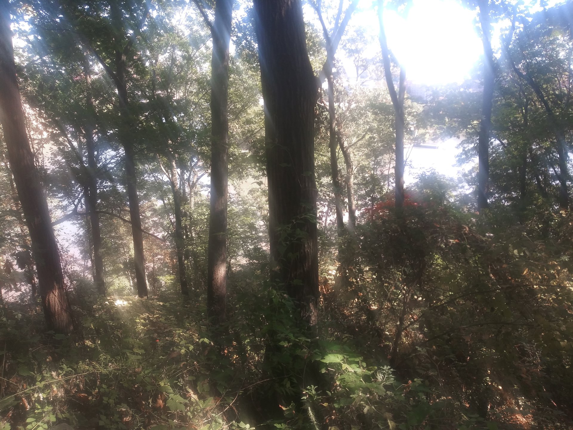 20201003_140733.jpg